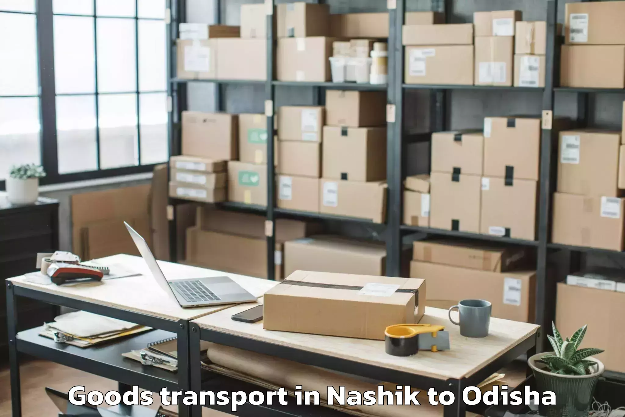 Professional Nashik to Raikia Goods Transport